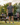 What to Wear to a BBQ: A Men's Summer Cookout Outfit Guide